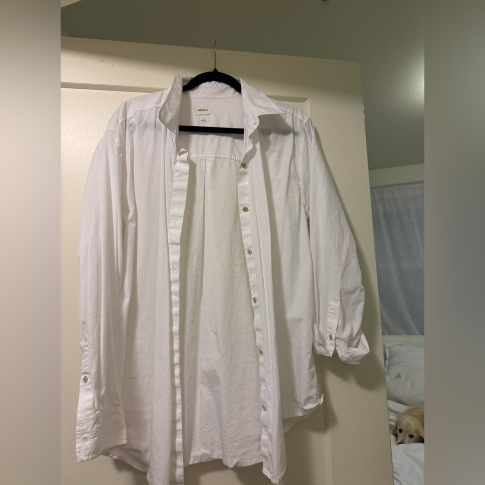 Aritzia Wilfred Free Classic White shirt